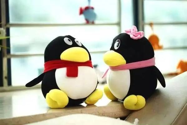 新创的qq号为什么被封了？